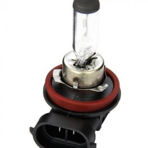 H8 Automobile Halogen Light